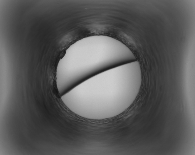 X0000086721012200705041323