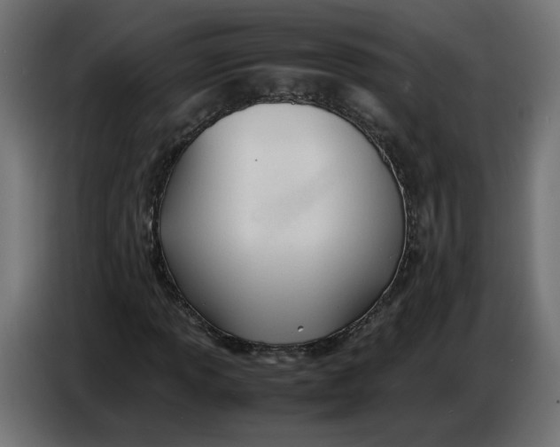 X0000086721013200705041323