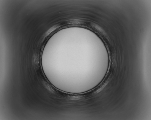 X0000086721017200705041323