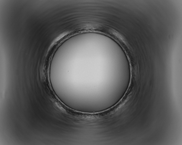 X0000086721018200705041323