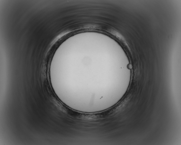 X0000086721019200705041323