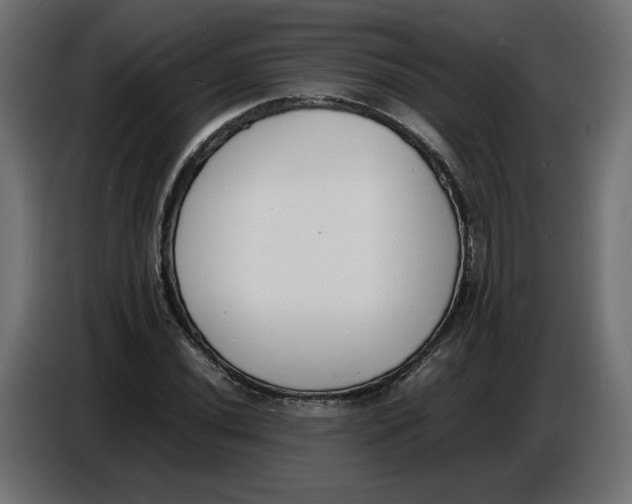 X0000086721020200705041323