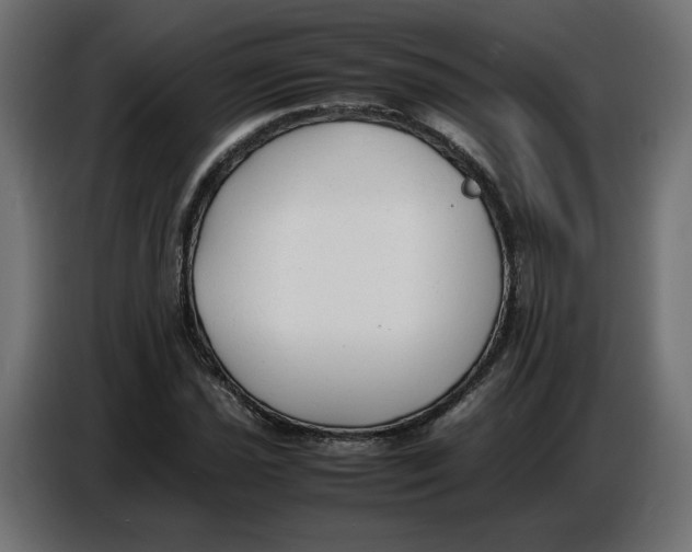 X0000086721021200705041323