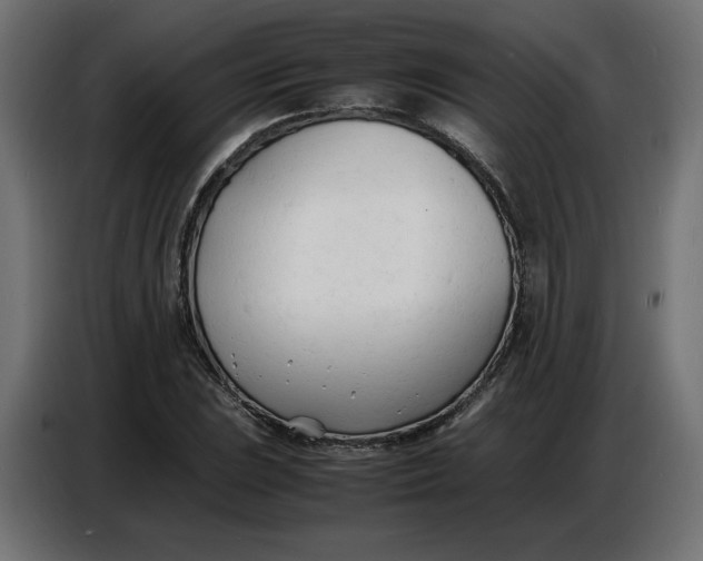 X0000086721023200705041323
