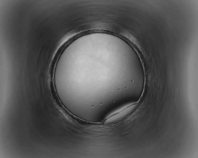 X0000086721024200705041323