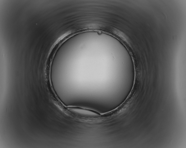X0000086721026200705041323