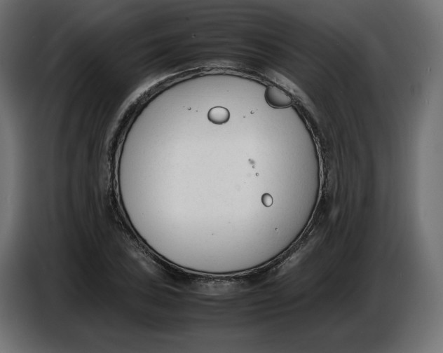 X0000086721027200705041323
