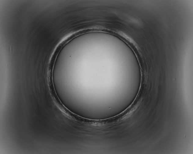 X0000086721029200705041323