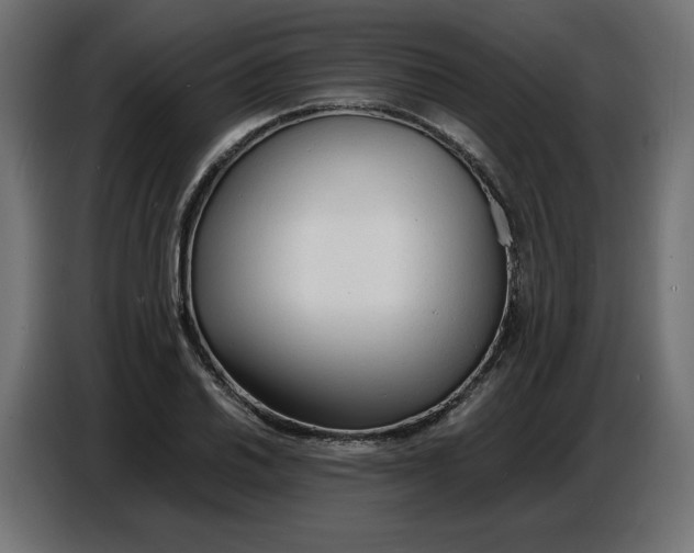X0000086721030200705041323