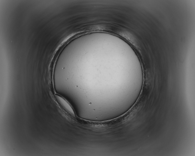 X0000086721031200705041323