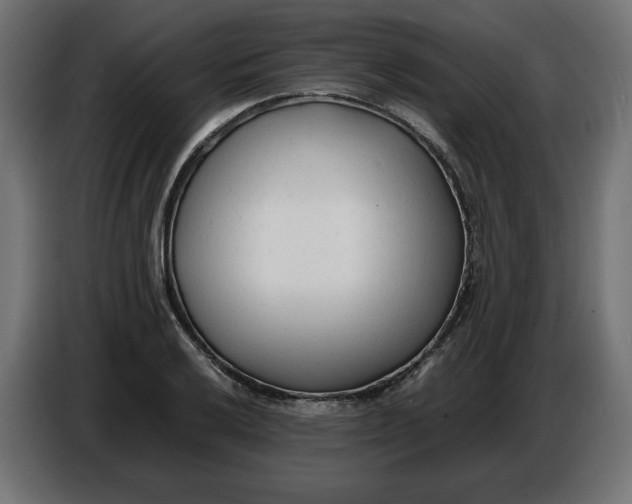 X0000086721032200705041323