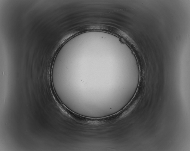 X0000086721033200705041323