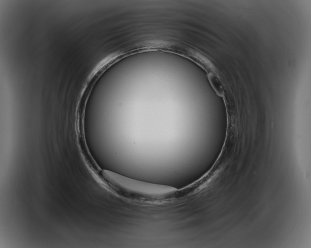 X0000086721034200705041323