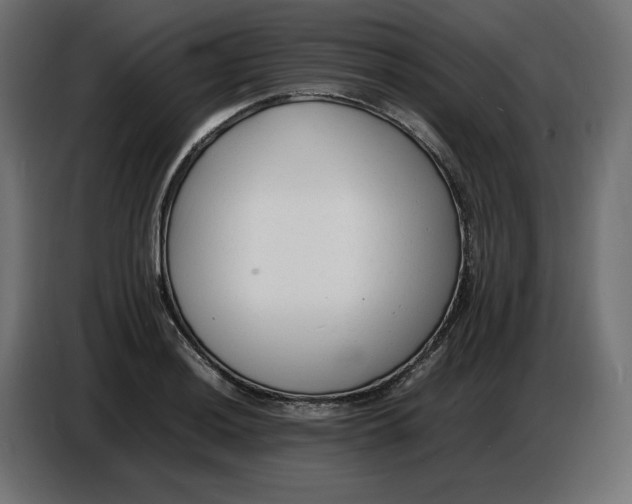 X0000086721036200705041323