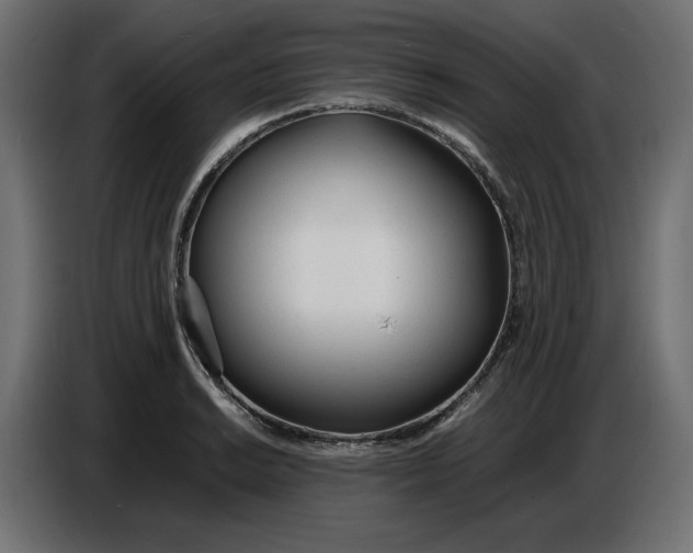 X0000086721038200705041323