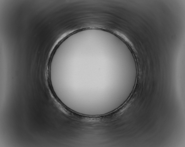 X0000086721040200705041324