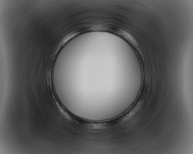 X0000086721041200705041324