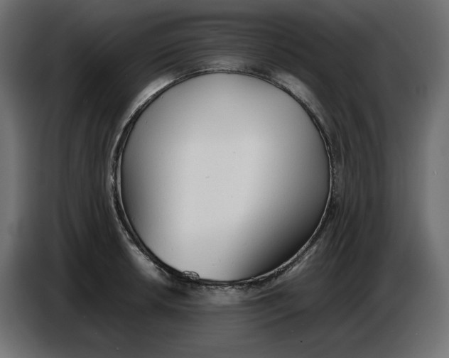 X0000086721042200705041324