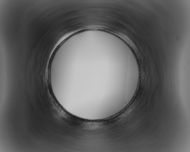 X0000086721044200705041324