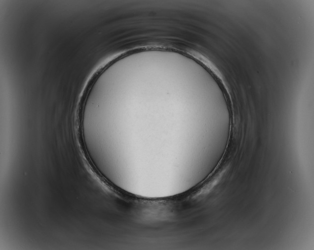 X0000086721045200705041324