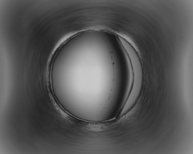 X0000086721046200705041324