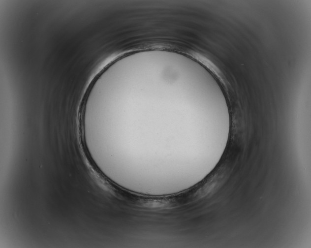 X0000086721047200705041324