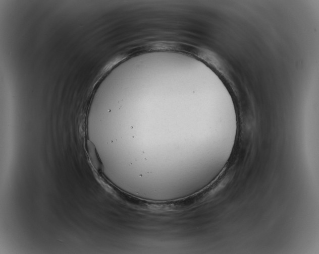 X0000086721049200705041324