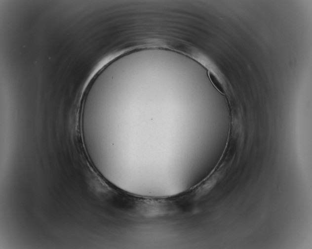X0000086721052200705041324