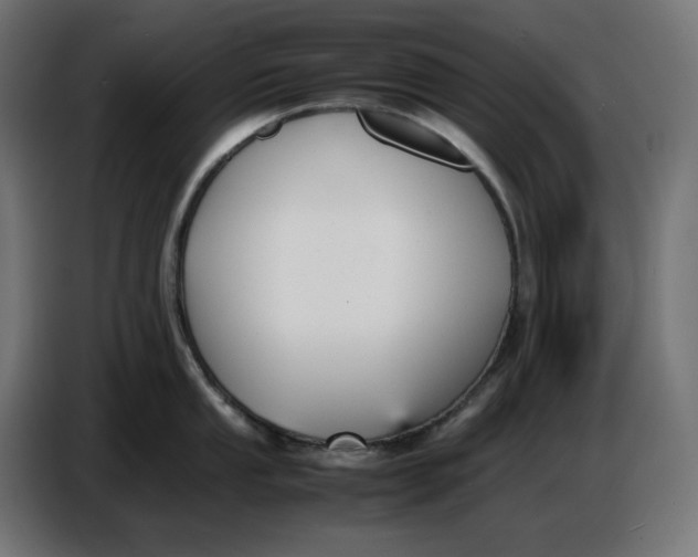 X0000086721053200705041324