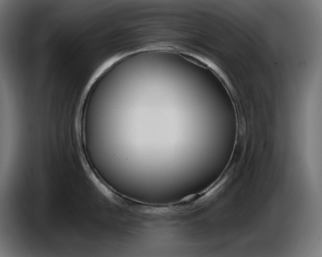 X0000086721054200705041324