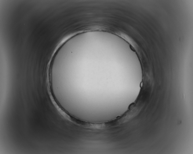 X0000086721055200705041324