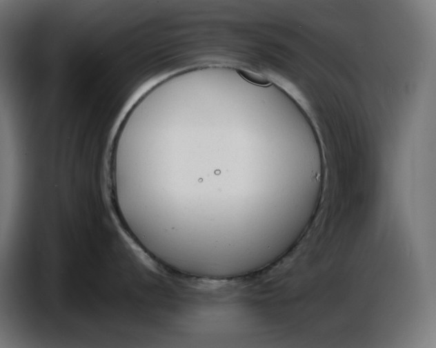 X0000086721056200705041324