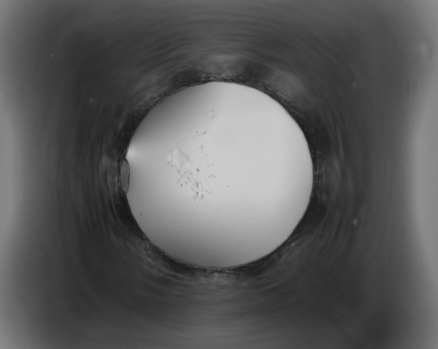 X0000086721058200705041323