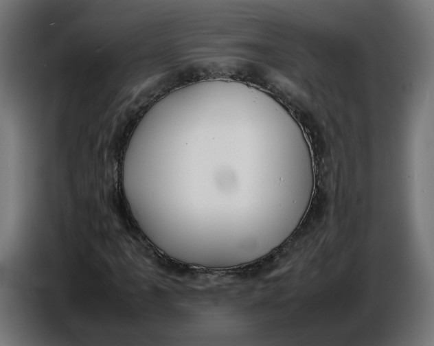 X0000086721061200705041323