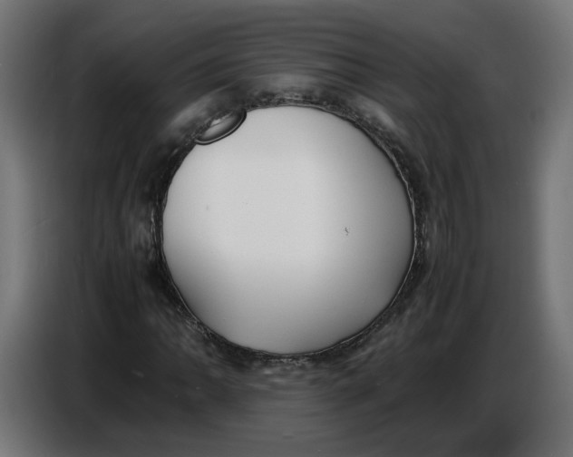 X0000086721062200705041323