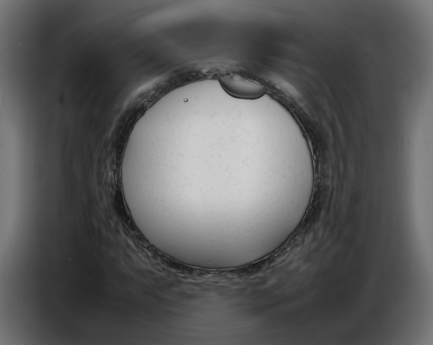 X0000086721063200705041323