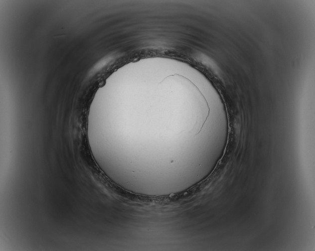 X0000086721064200705041323
