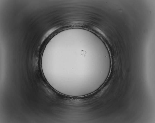 X0000086721066200705041323