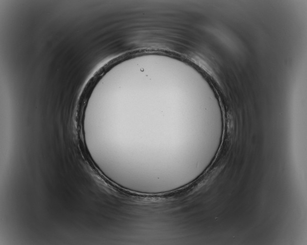 X0000086721068200705041323