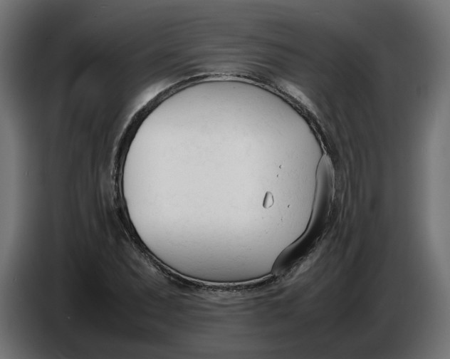 X0000086721071200705041323