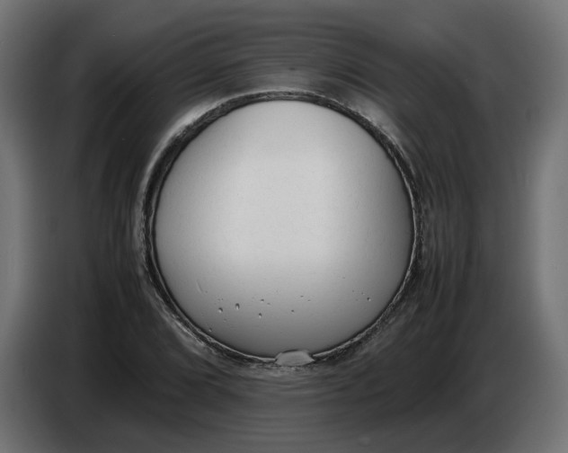 X0000086721072200705041323