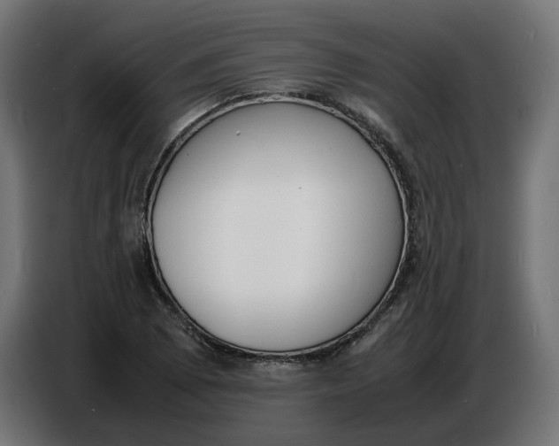X0000086721073200705041323