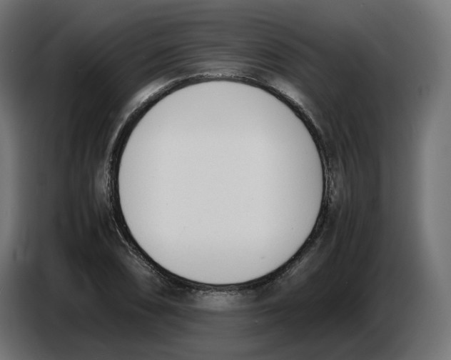X0000086721074200705041323