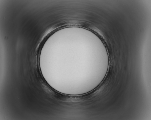 X0000086721075200705041323