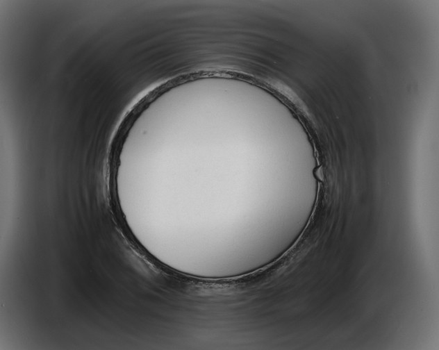X0000086721076200705041323