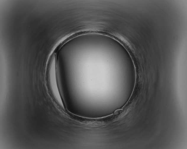 X0000086721077200705041323