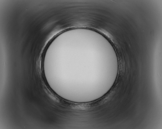 X0000086721078200705041323