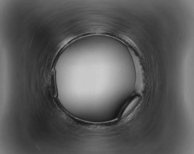 X0000086721081200705041323