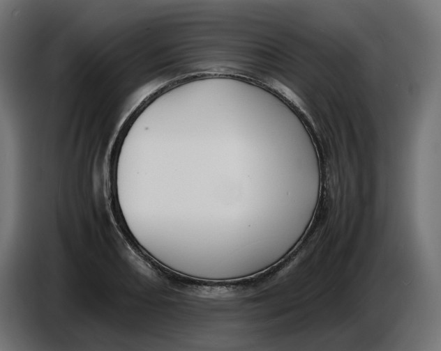 X0000086721082200705041323