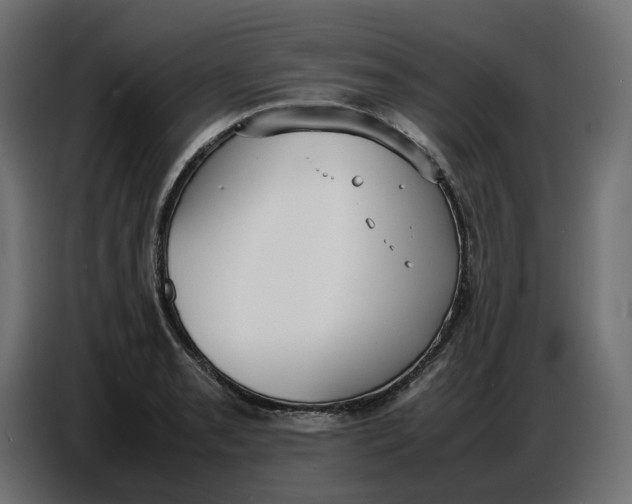 X0000086721085200705041323